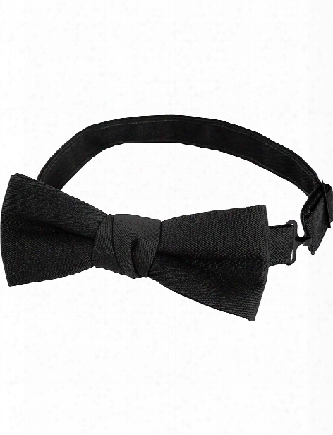 Fame Bow Tie - Black - Unisex - Chefwear