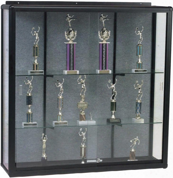 3' Wall Mount Display Case By Best Rite