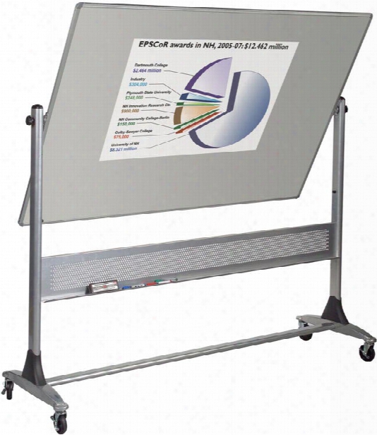 4' X 6' Projection Plus Platinum Reversible Board By Most Intimately Rite