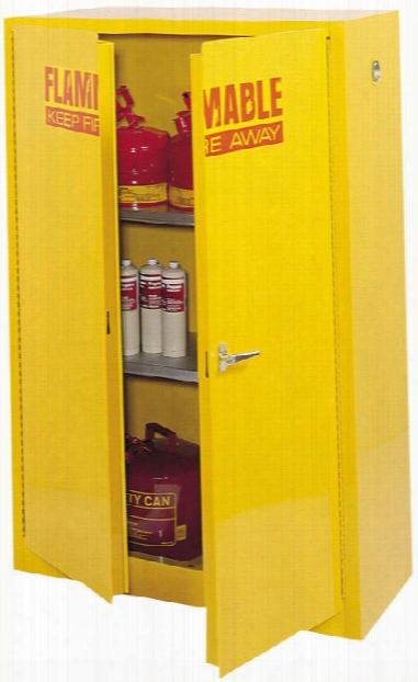 43"w X 18"d X 65"h Flammable Safety Cabinet By Sandusky Lee