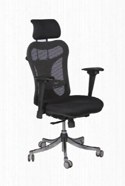 Ergo Ex Mesh Back Chair By Balt