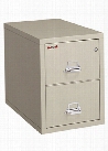 2 Drawer Legal Safe in a File by FireKing