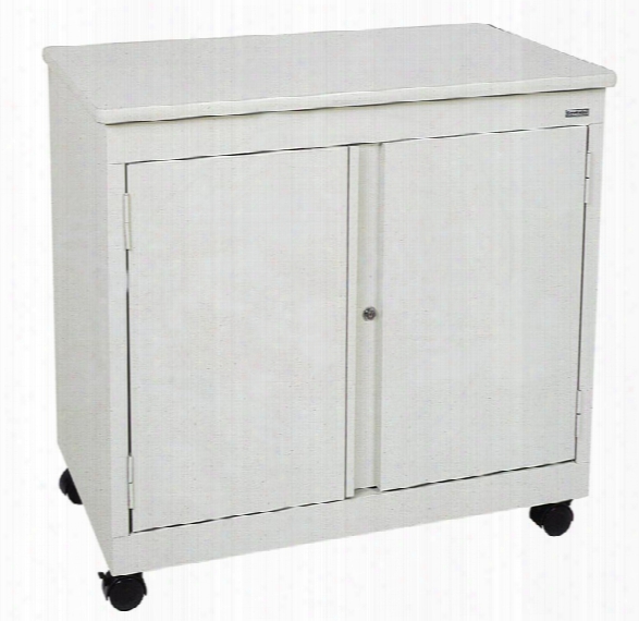 Mobile Utility Cabinet By Sandusky Lee