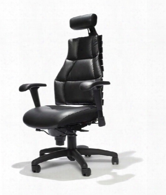 Executive Leather Chair With Headrest By Rfm Seating