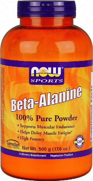 Now Foods Beta-alanine Powder - 500g