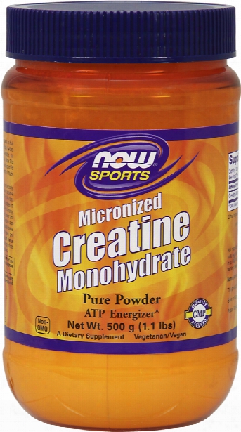 Now Foods Creatine Monohydrate Powder - 600g