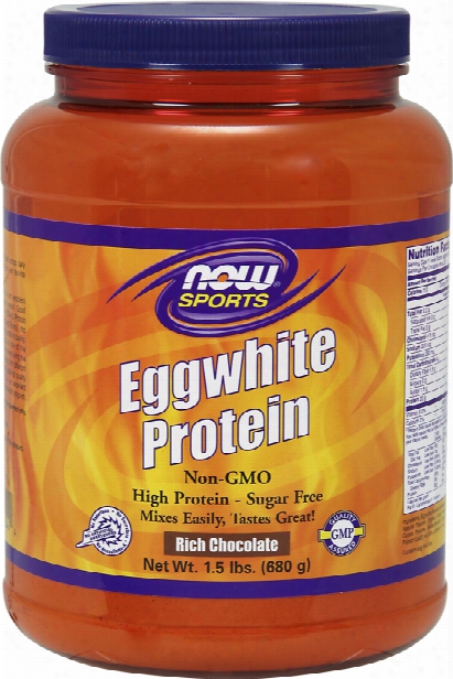 Now Foods Eggwhite Protein - 1.5lbsr Ich Chocolate