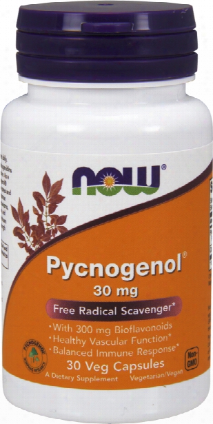 Now Foods Pycnogenol - 30 Capsules