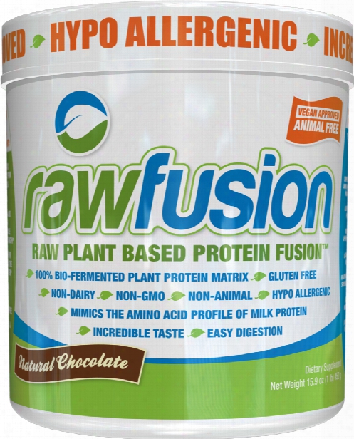 San Raw Fusion - 1lb Natural Chocolate