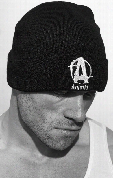 Universal Clothing & Gear Animal Beanie -  1 Size Fits Most Black