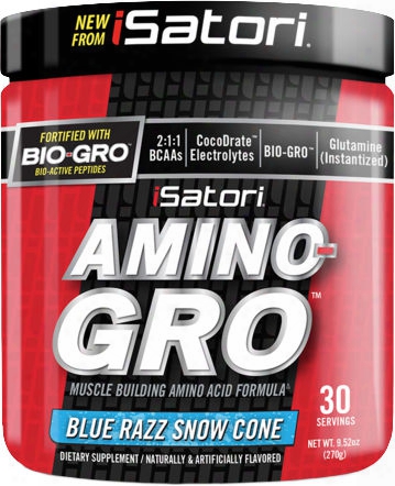 Isatori Amino-gro - 30 Servings Blue Razz Snow Cone