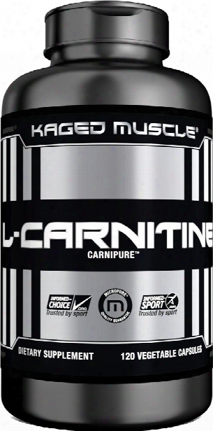 Kaged Muscle L-carnitine - 120 Vcapsules