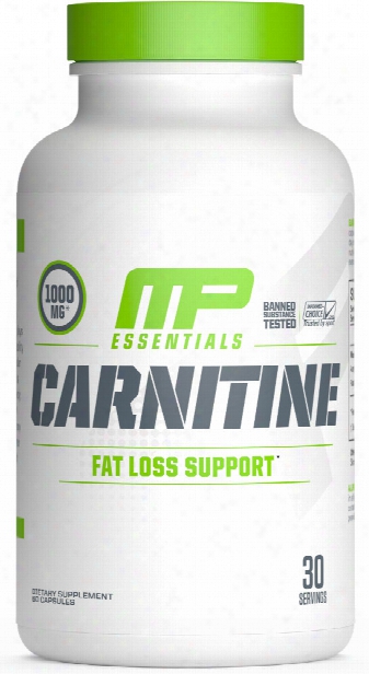 Muscoepharm Essentials Carnitine - 60 Capsules