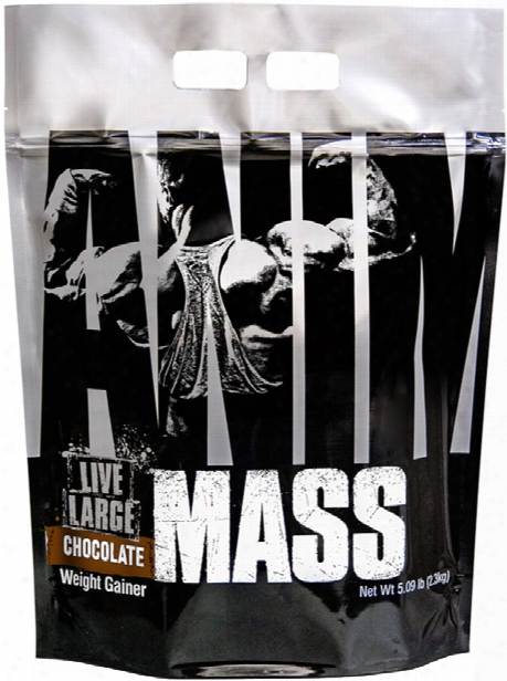 Universal Nutrition Animal Mass - 14 Servings Chocolate