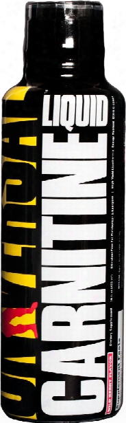 Universal Nutrition Carnitine Liquid - 31 Servings Wild Berry