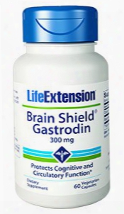 Brain Shield Gastrodin, 300 Mg, 60 Vegetarian Capsules