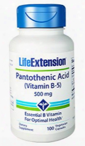 Pantothenic Acid (vitamin B-5), 500 Mg, 100 Vegetarian Capsules
