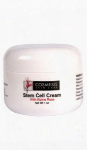 Stem Cell Cream With Alpine Rose, 1 Oz