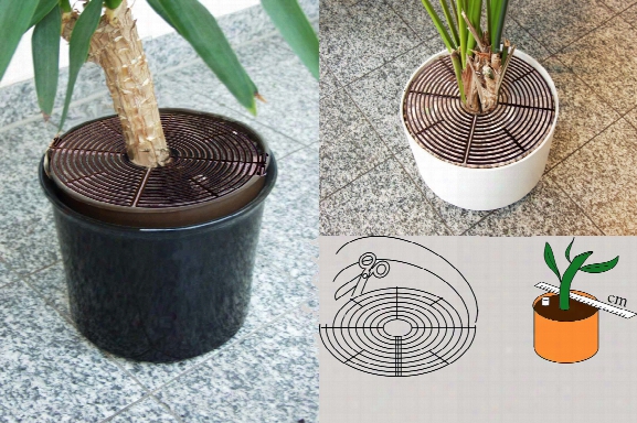 Reer Plant Pot Guard