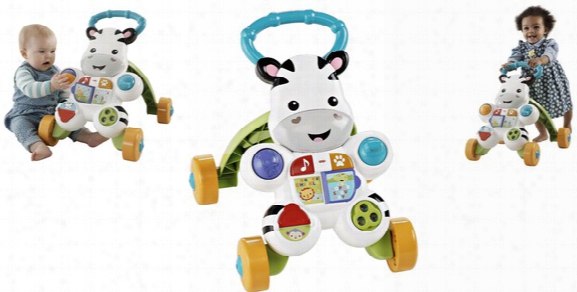 Fisher-price Learn With Me Zebra Walker