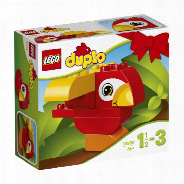 Legi Duplo My First Parrot