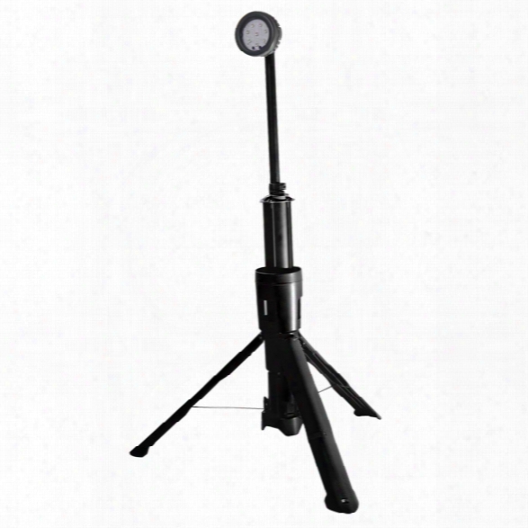 Pelican Remote Area Led Lighting, Nimh Battery, Black - Black - Male - Included