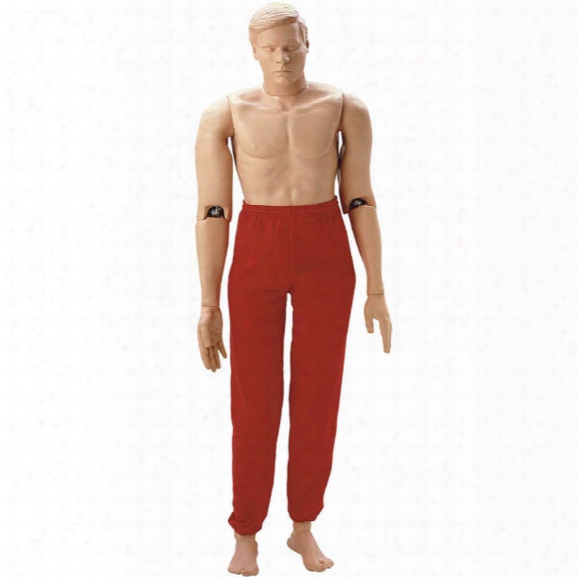 Simulaids Adult-size Rescue Randy Training Manikin, 5'5" 165 Lbs. - Smoke - Unisex - Excluded