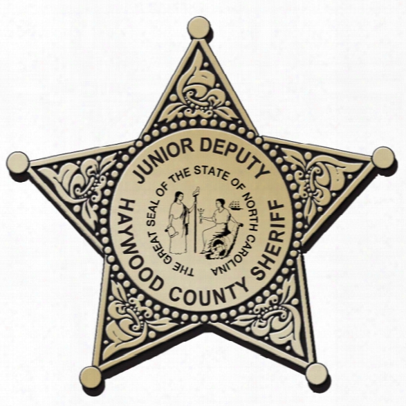 Stoffel Seals Jr. Deputy Plastic 5-point Badge, Gold W/ Gold Trim, Clip, 1000-2499 - Gold - Male - Excluded