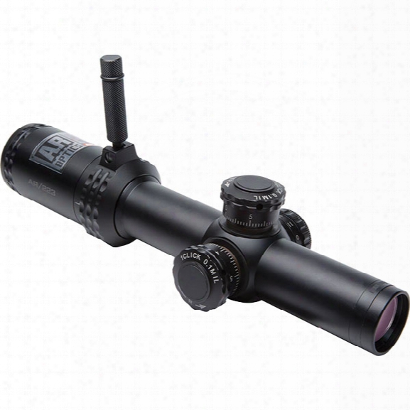 Bushnell 1-4 X24mm, Throw Down Pcl, Ffp Illum. Btr Reticle, Matte Black, Box - Black - Male - Included