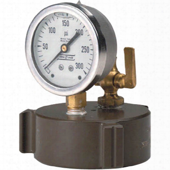 Kochek 2-1/2" Cap Gauge, 0-300 Psi - Male - Included