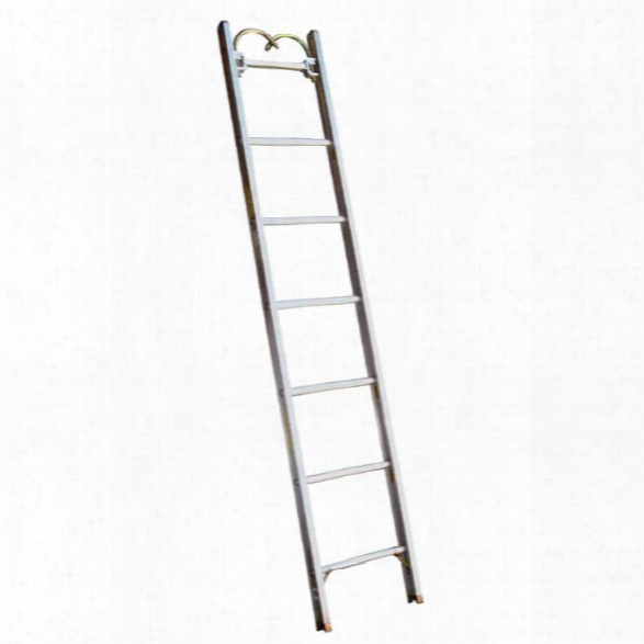 Alco-lite Aluminum Pumper-type Roof Ladder, 12'l X 18-1/8"w, 2-7/8" Banking Thickness, 36 Lbs. - Silver - Male - Excluded