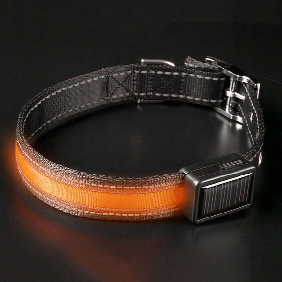 Brite-strike Lpcsu Lighted Dog Collar, Orange, Large - Orange - Unisex - Included